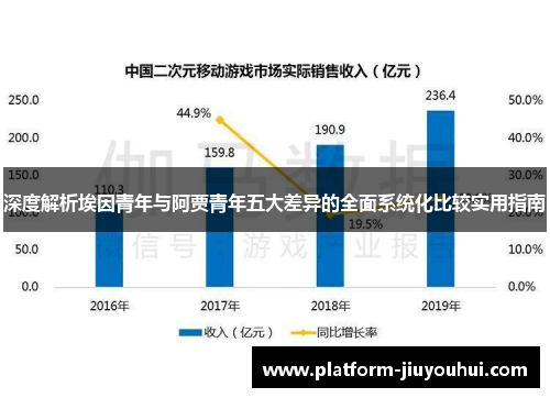 深度解析埃因青年与阿贾青年五大差异的全面系统化比较实用指南