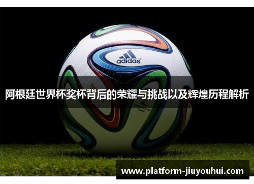 阿根廷世界杯奖杯背后的荣耀与挑战以及辉煌历程解析
